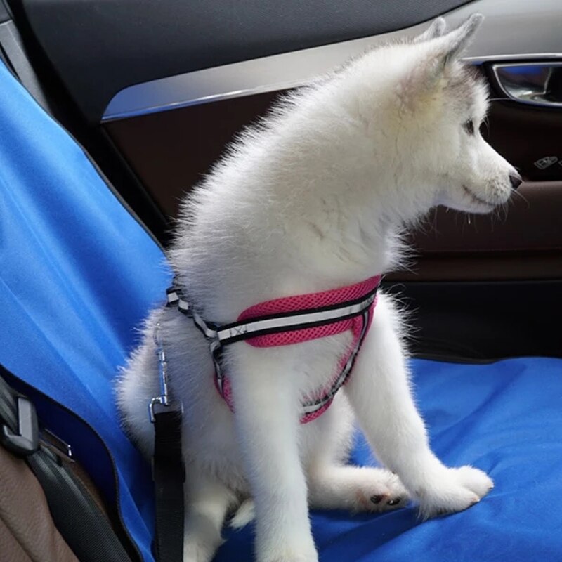Seat Mat Pet Carrying Rear Seat Cover Waterproof Anti-Dirty Anti-Scratch