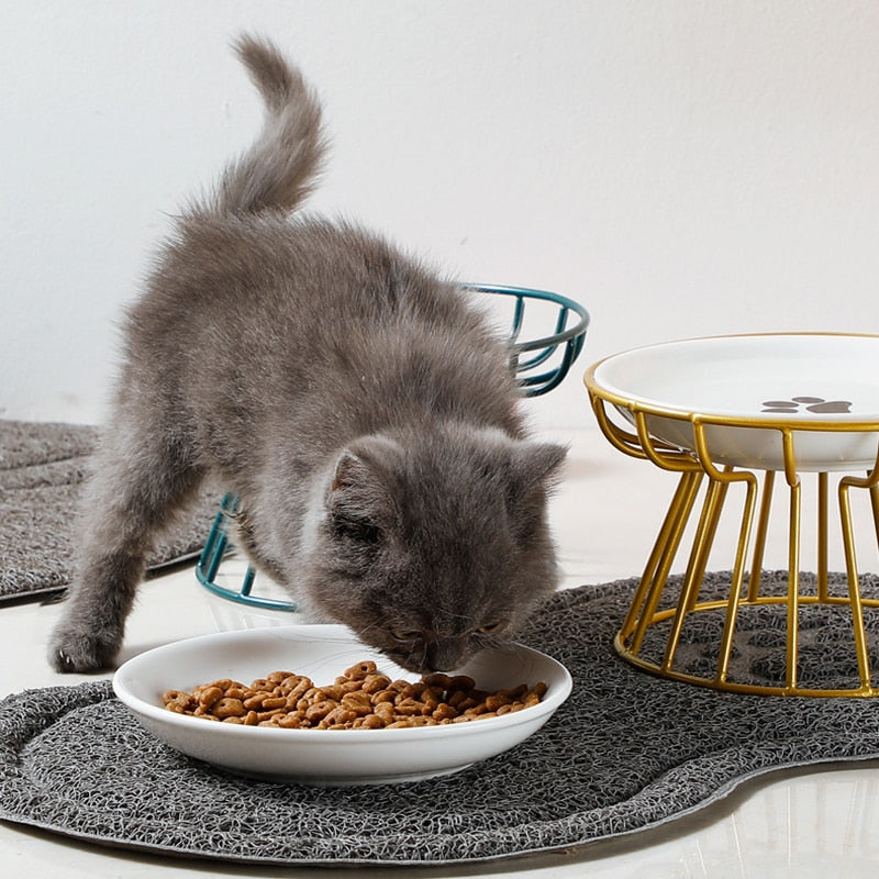 Cat Lift Bowl With Metal Stand Pet Ceramic Food Snacks Feeding