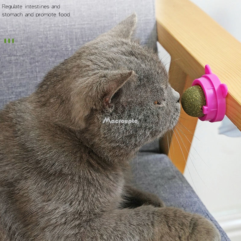 Natural Catnip Cat Wall Stick-on Ball Toy Treats Healthy Natural Removes