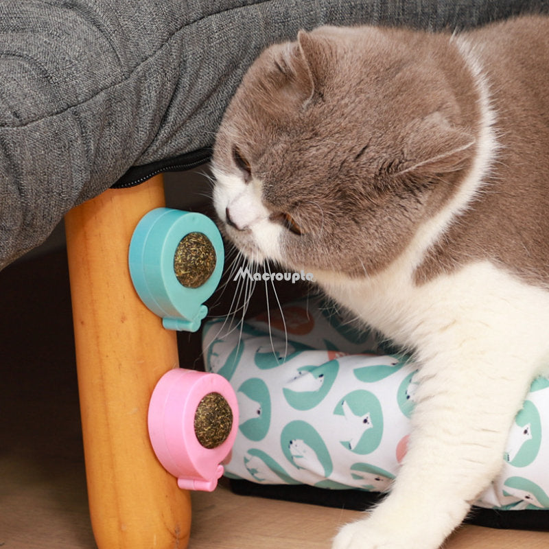 Natural Catnip Cat Wall Stick-on Ball Toy Treats Healthy Natural Removes