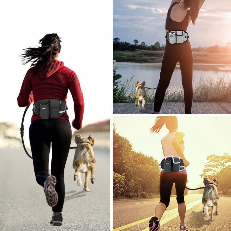 Running Training Dog Walking Waist Bag Reflective Elastic Traction Rope
