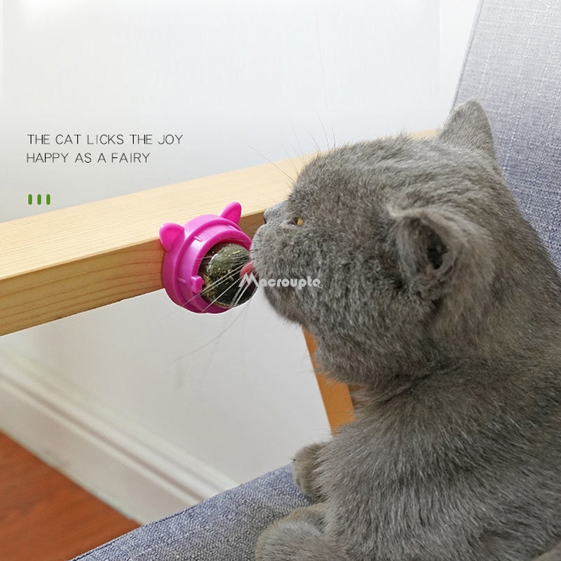 Natural Catnip Cat Wall Stick-on Ball Toy Treats Healthy Natural Removes