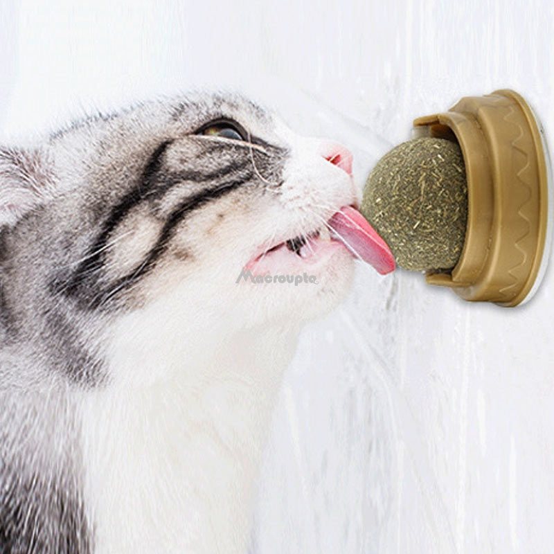 Natural Catnip Cat Wall Stick-on Ball Toy Treats Healthy Natural Removes