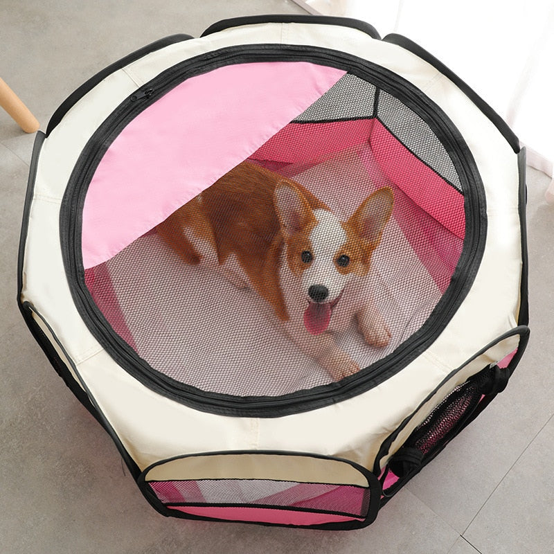 Folding Pet Tent for Cats Dogs Portable Outdoor Cat Bed